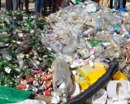 Reflorestamento ASSEF